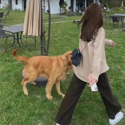 周四推理俱乐部